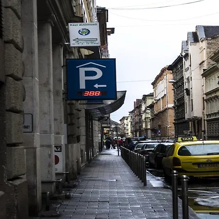 The Training Station